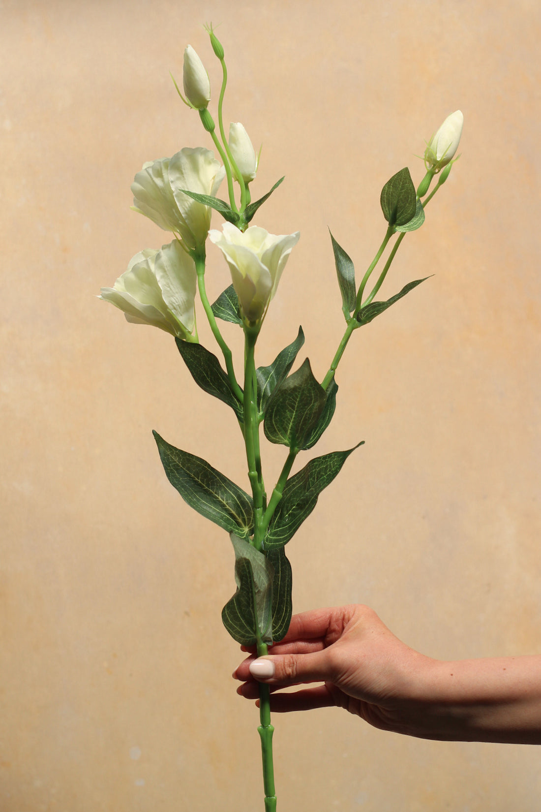 Ivory Lisianthus Spray