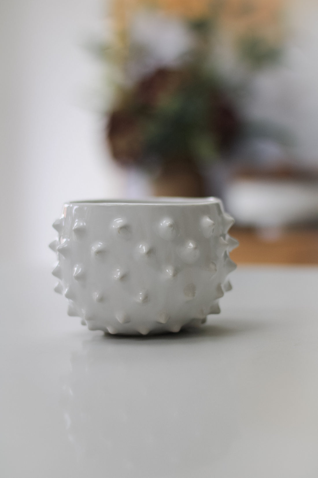 White Spiked Ceramic Planter