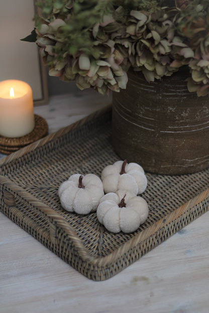 White Velvet Pumpkins | Set of 3