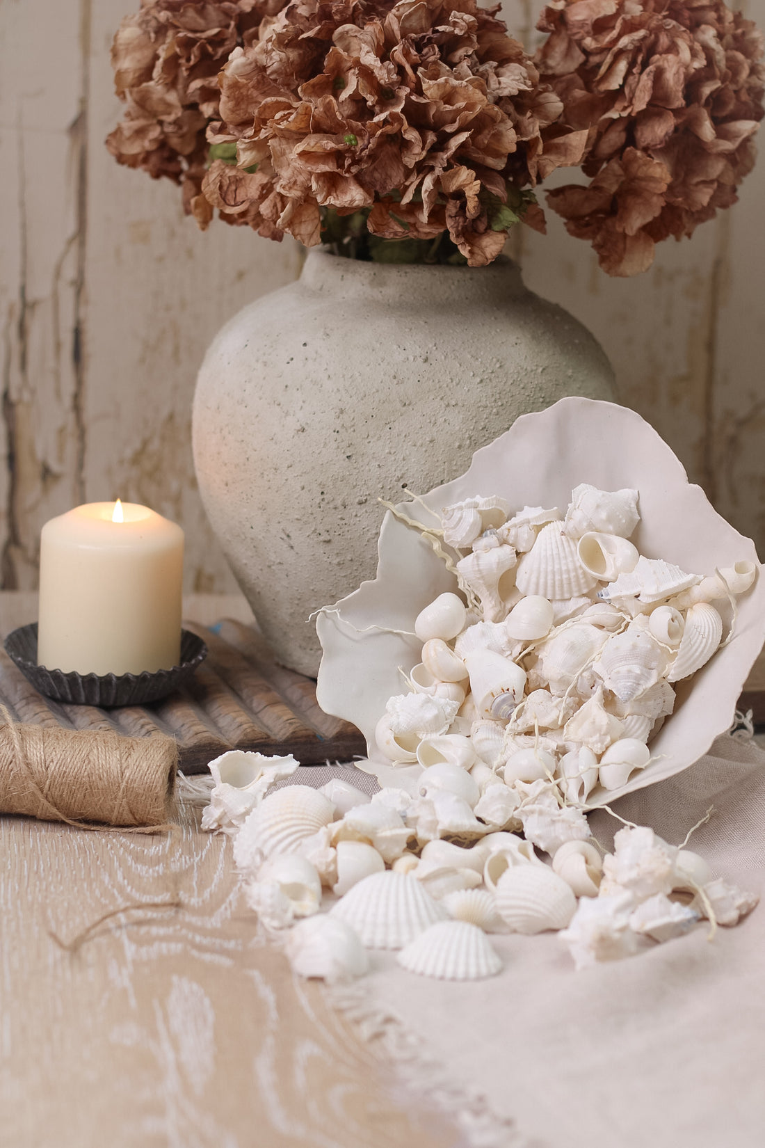 Box of Decorative Shells