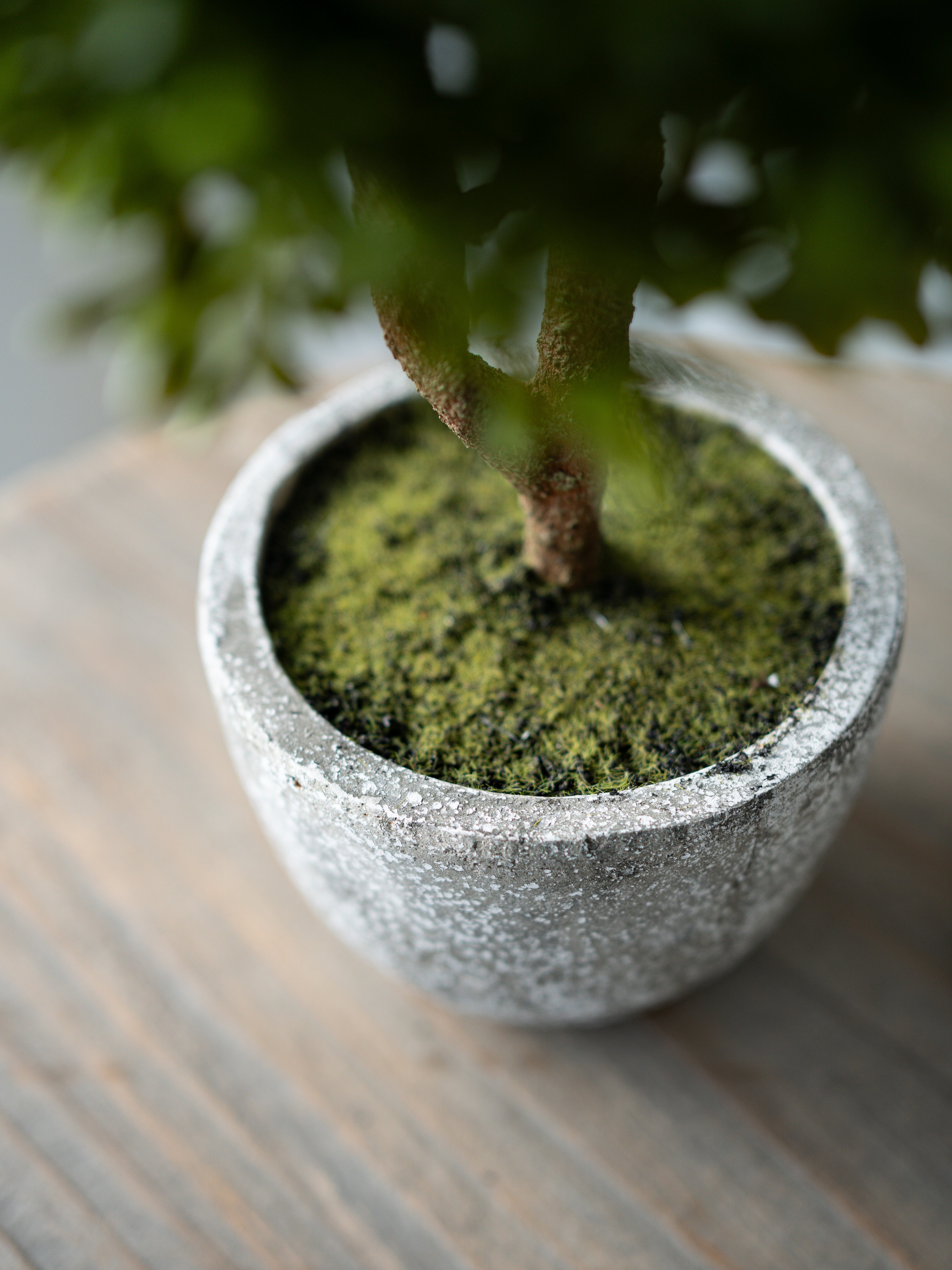 Faux Green Boxwood Ball Plant in Stone Effect Pot