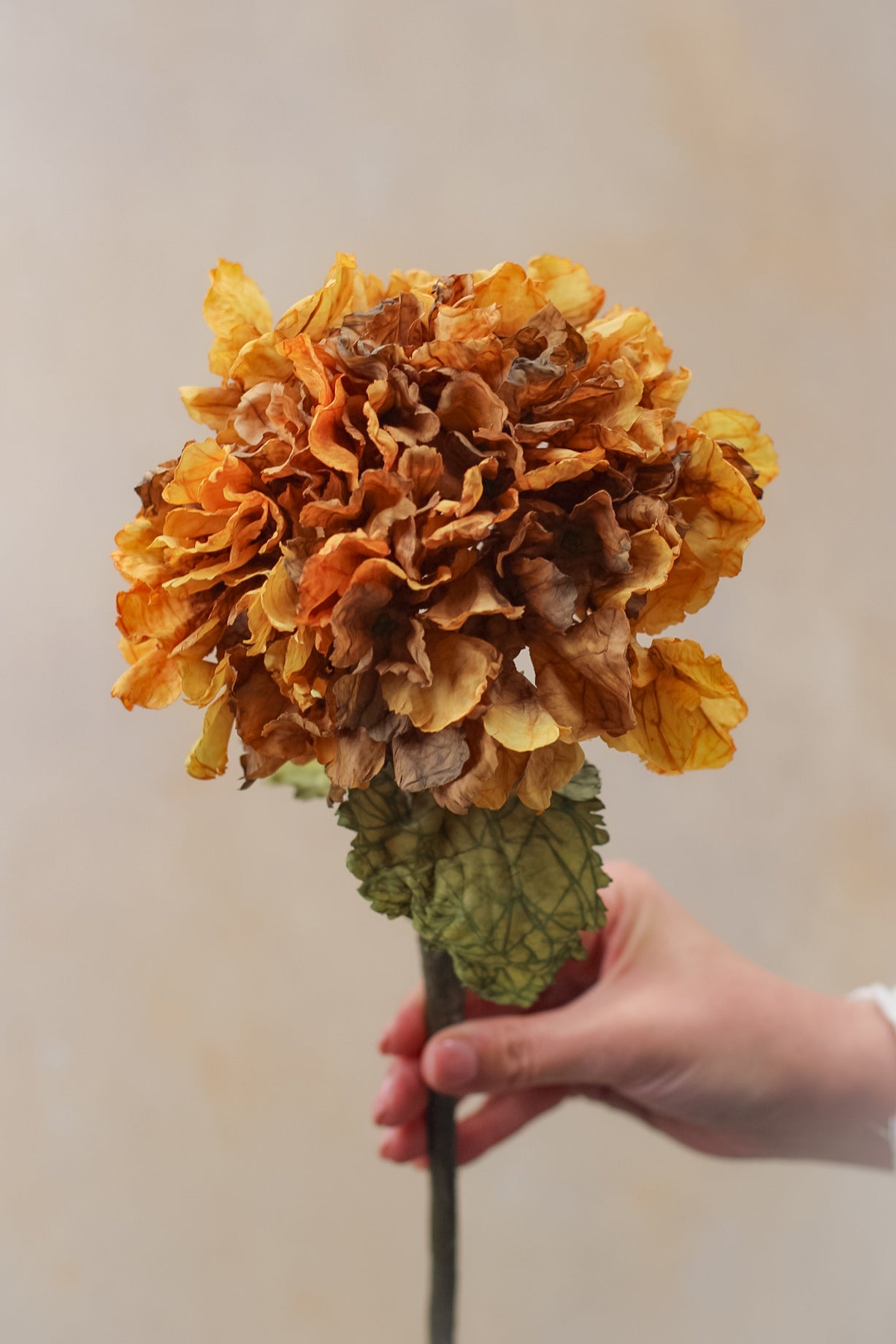 Faux Honey Dried Touch Ruffle Hydrangea