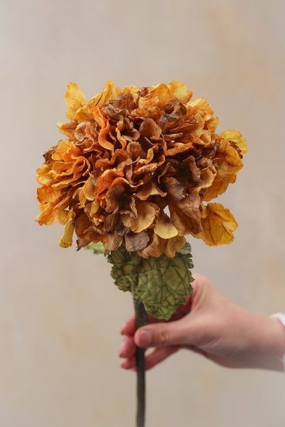 Faux Honey Dried Touch Ruffle Hydrangea