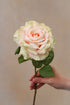 Faux Pink Dawn Rose Stem