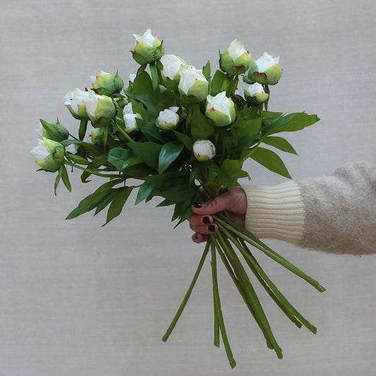 White Tight Bud Peony Spray