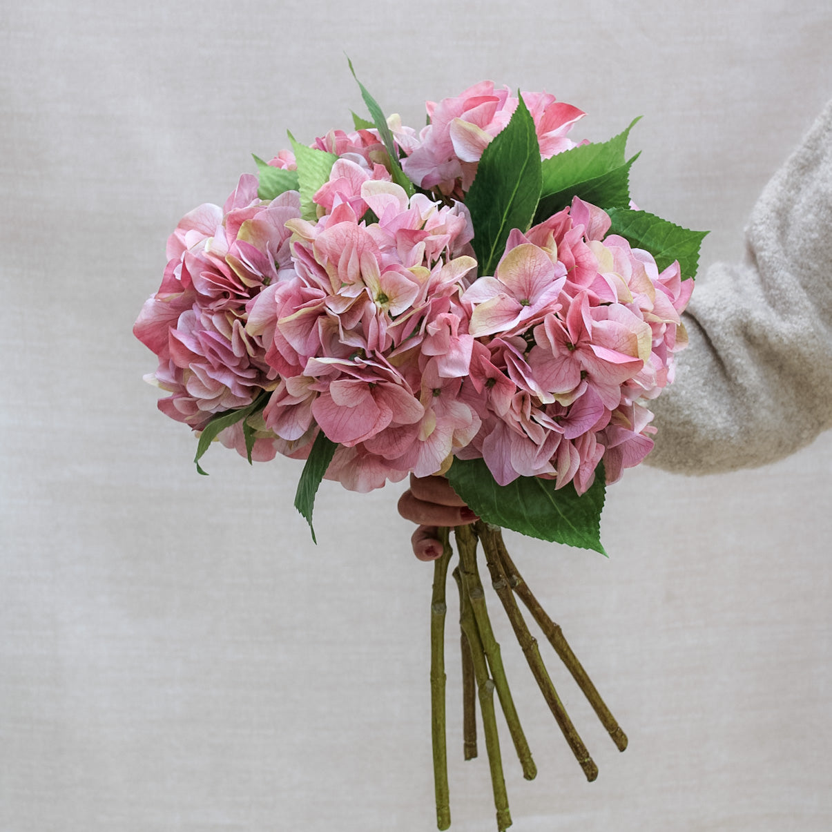 Shabby Pink Hydrangea