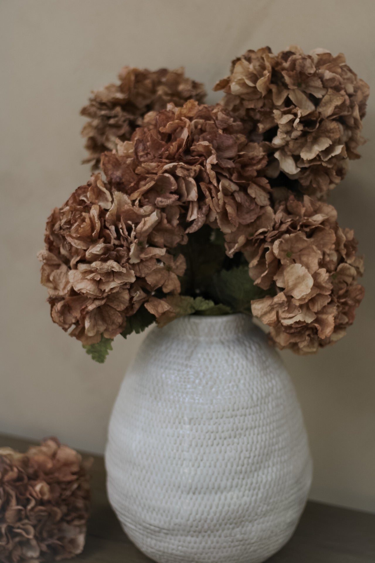 Faux Cappuccino Dried Ruffle Hydrangea
