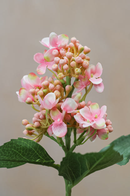 Faux Pink Budding Hydrangea