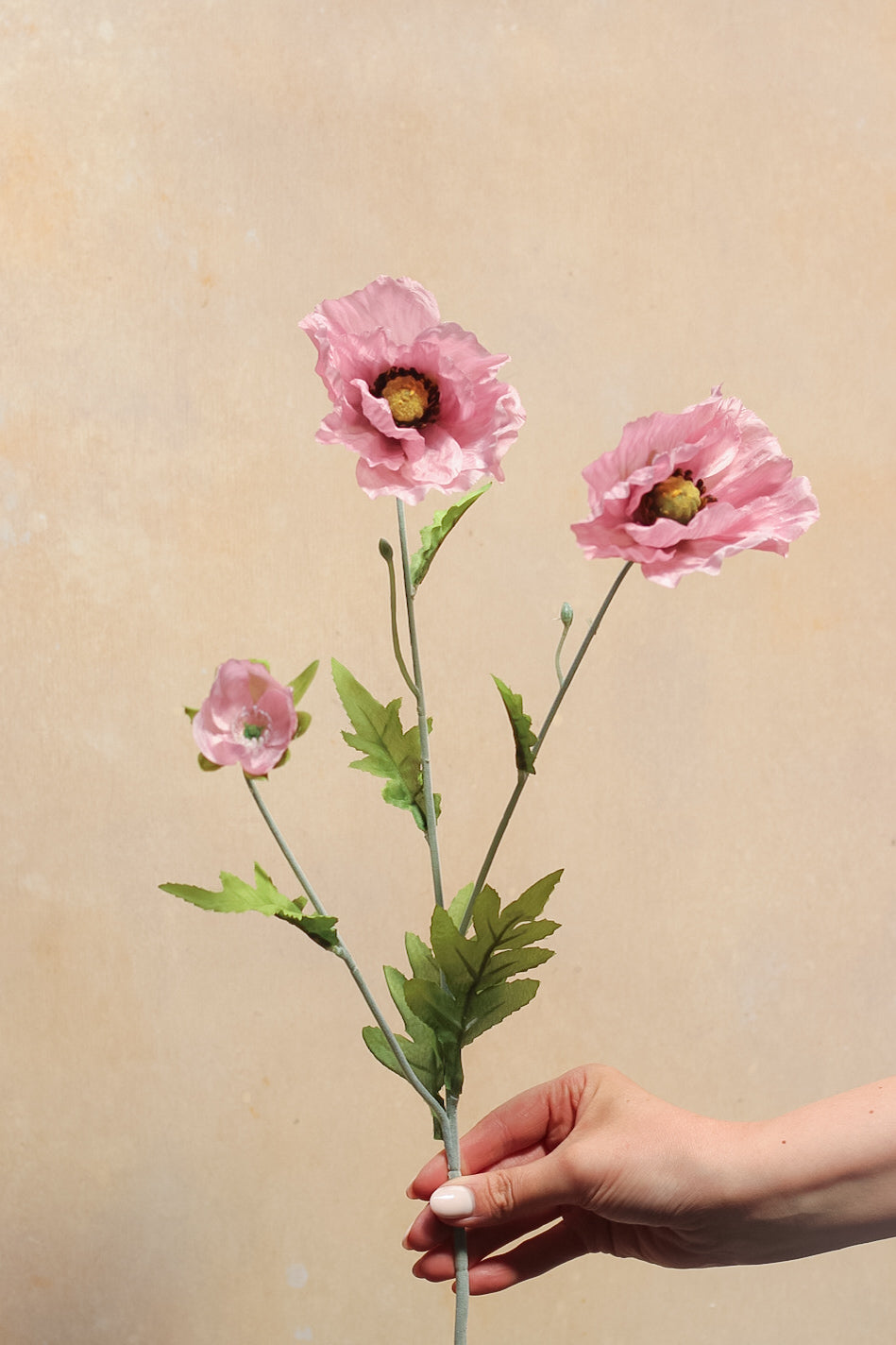 Pink Country Poppy Spray