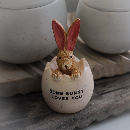 Spring Bunny in Speckled 'Some bunny loves you' Egg