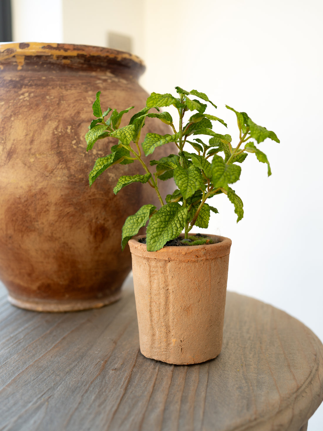 Faux Potted Mint Herb Plant in Terracotta Pot