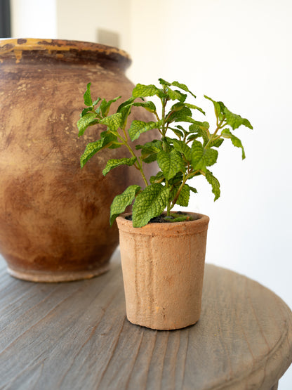 Faux Potted Mint Herb Plant in Terracotta Pot