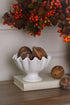 Natural Dried Bellani Pumpkins | Bag of 5