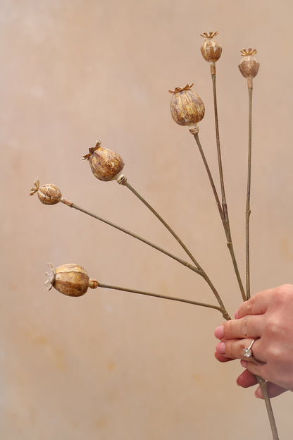 Faux Poppy Head Spray