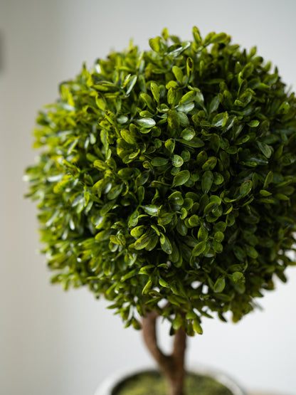 Faux Green Boxwood Ball Plant in Stone Effect Pot
