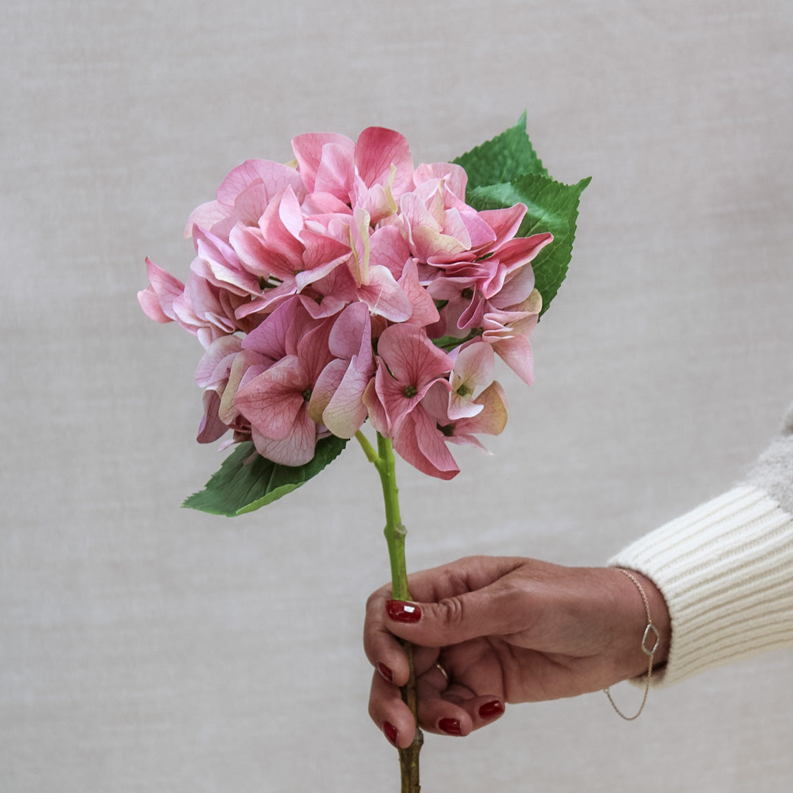 Shabby Pink Hydrangea