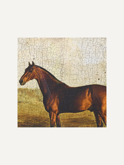 A square art print featuring a brown horse in profile against a cracked beige and ochre background, centered on a light gray canvas.