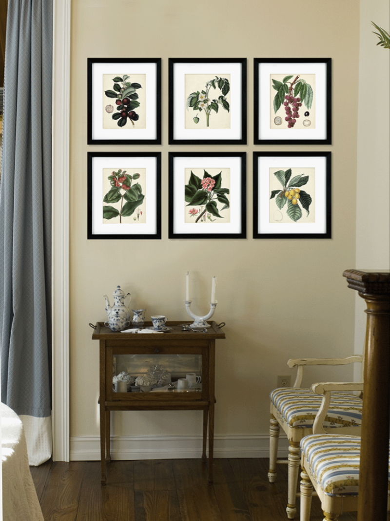 Framed botanical prints on a wall with a side table and stools below.