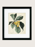 Framed botanical print of leaves and fruits on a beige background