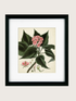 Framed botanical illustration of pink flowers and green leaves on a beige background