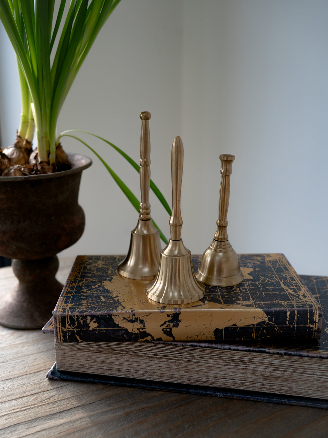 Three gold bells on an old book with a plant in the background