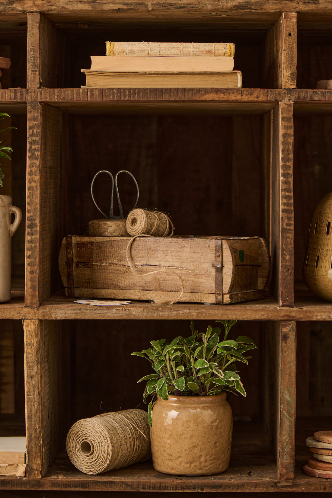 Wooden shelves with books, a plant, and twine in a rustic setting