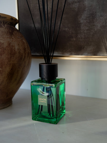 Citrus Verbena Sences Alang Alang Reed Diffuser