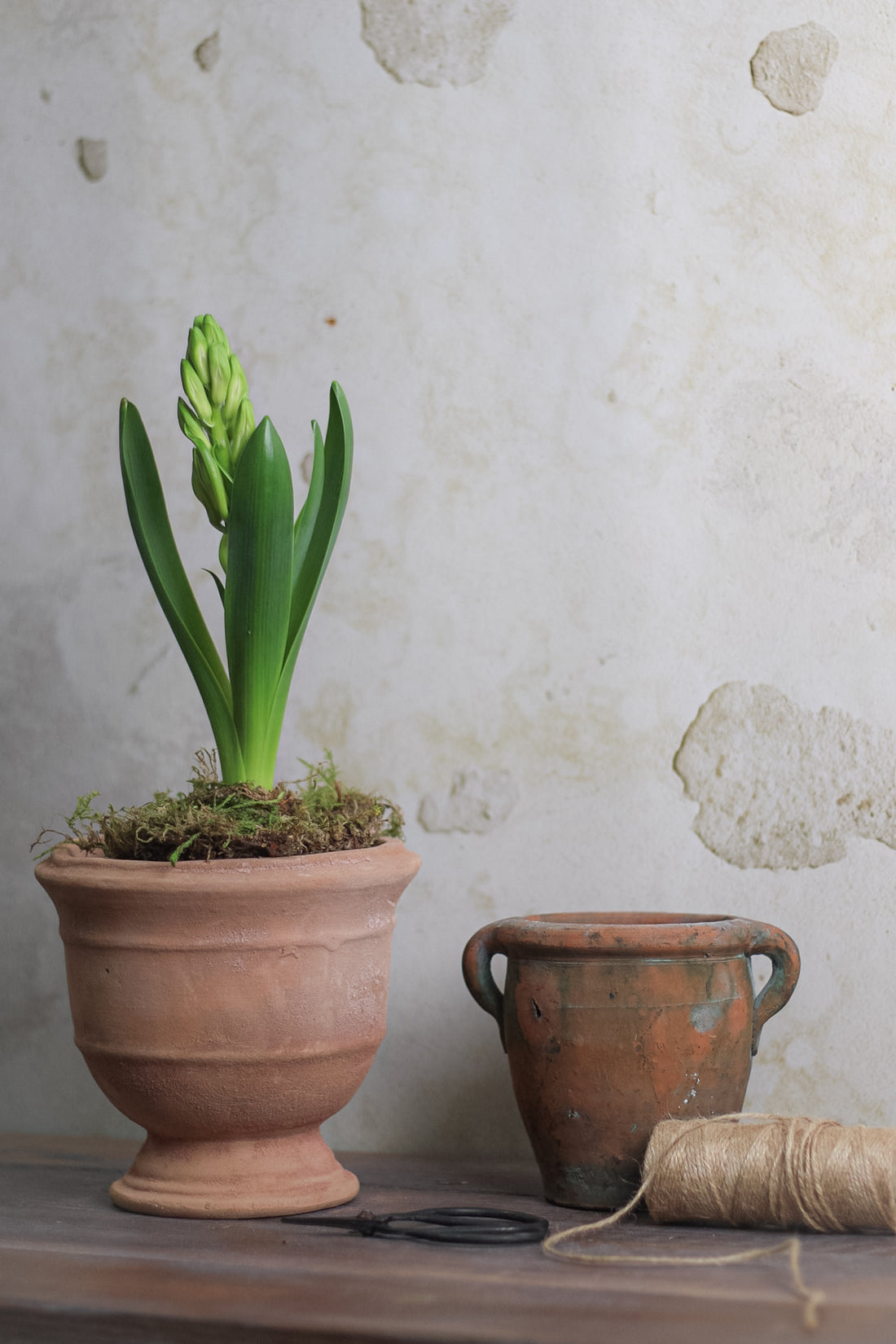 Small Aged Urn Pot