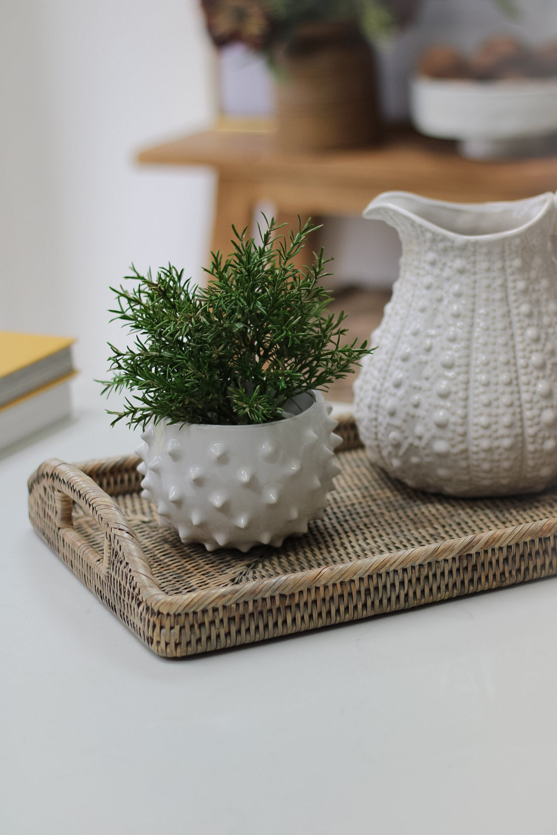 White Spiked Ceramic Planter