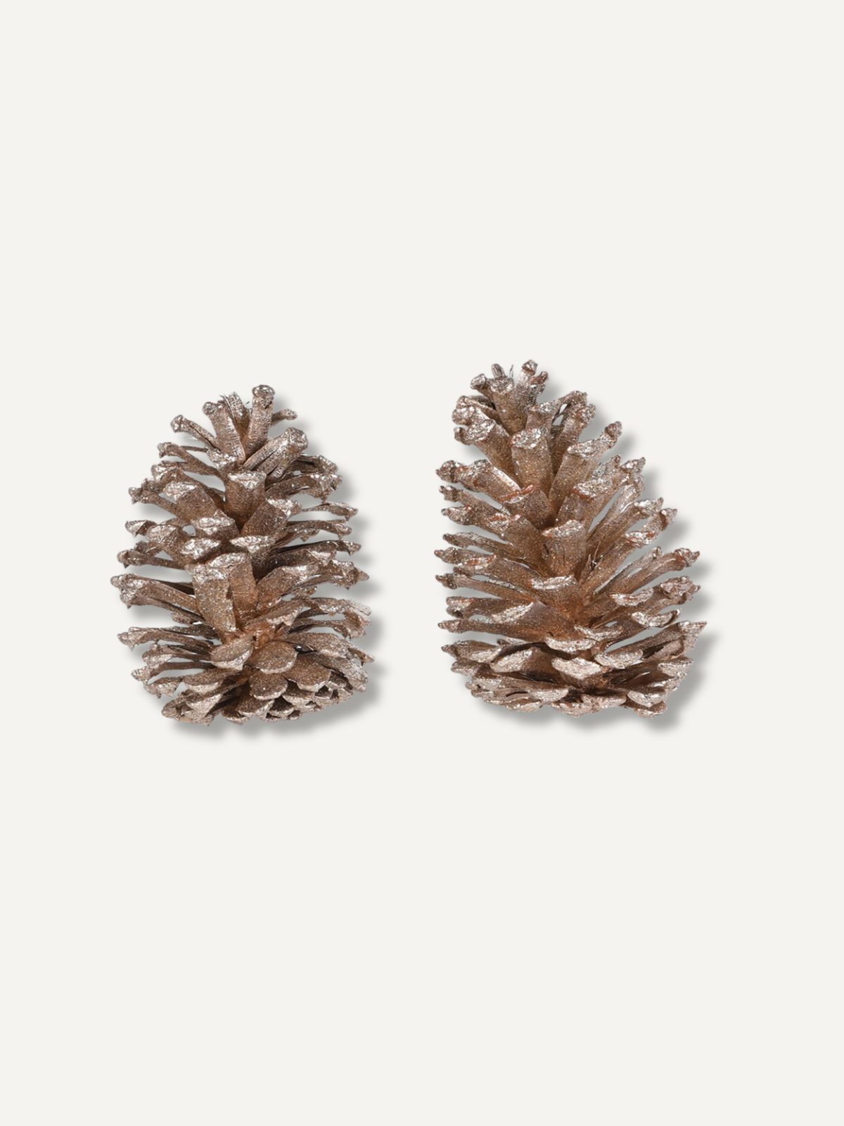 Bag of Golden Champagne Pinecones