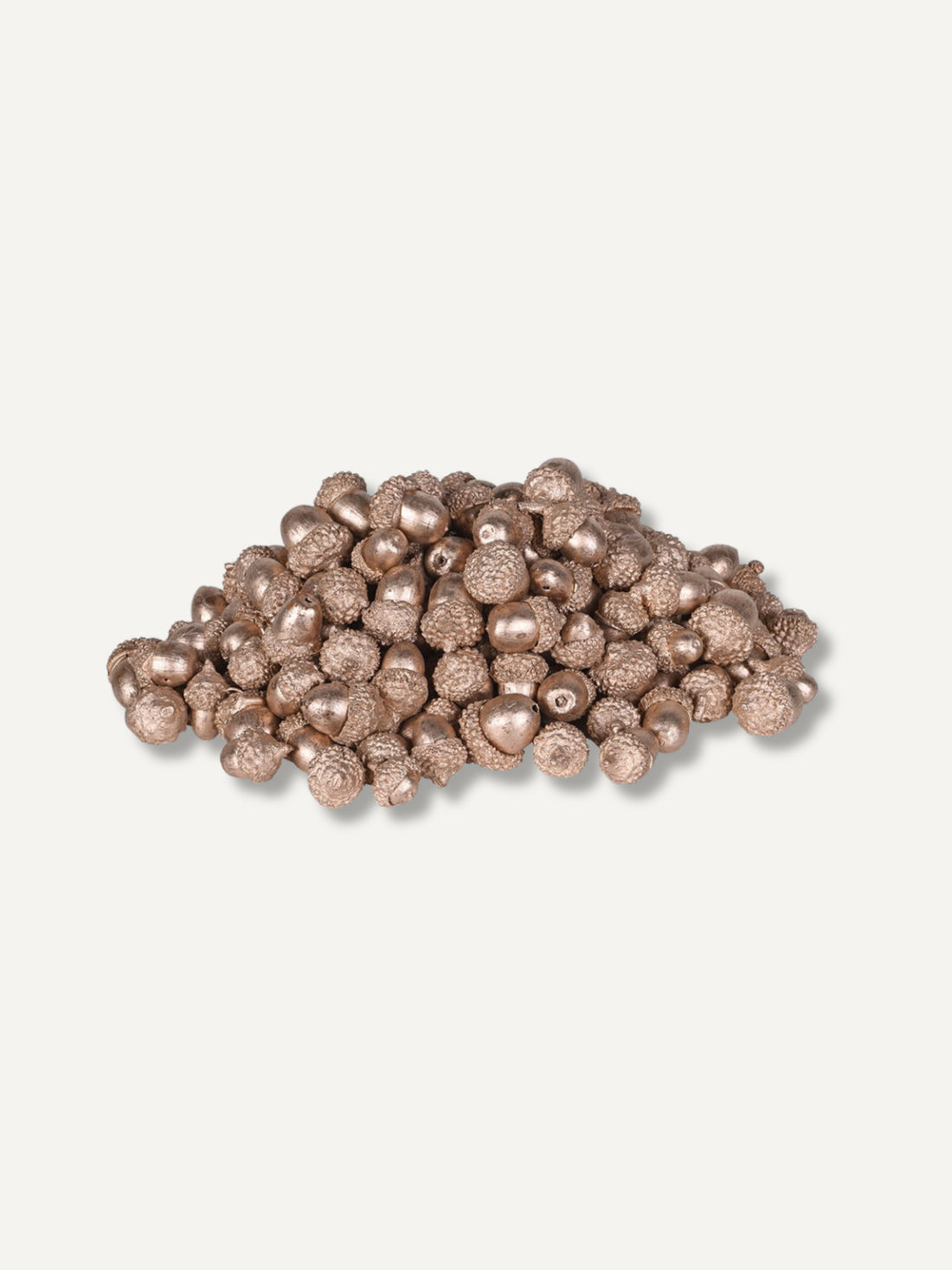 Bag of Golden Dried Acorns