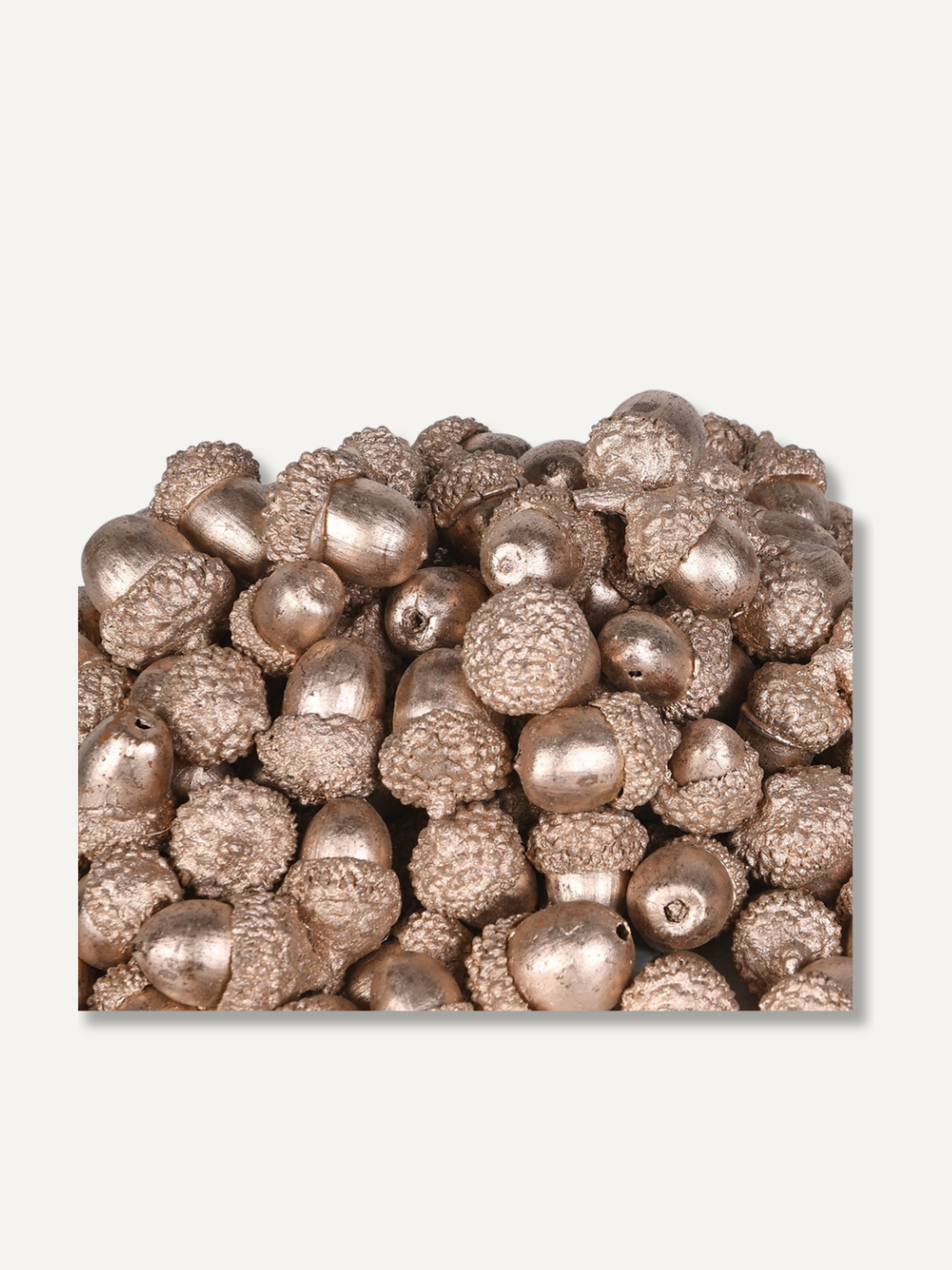 Bag of Golden Dried Acorns