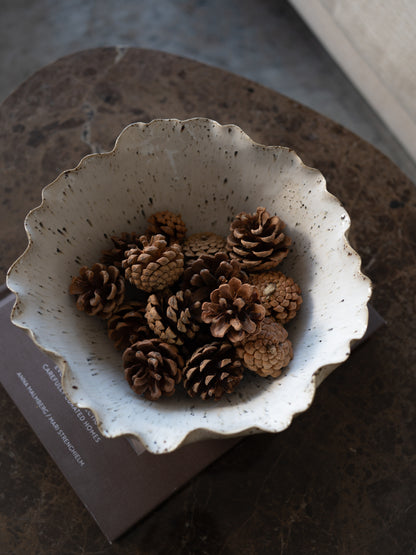 rustic pine cones in cream speckled bowl on brown marble coffee table