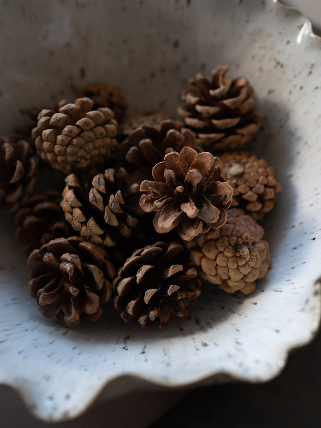 pine cones in cream speckled bowl