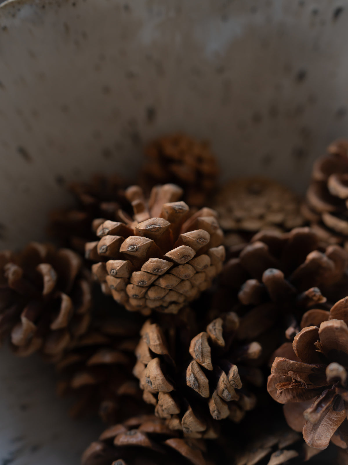rustic pine cones in bowl