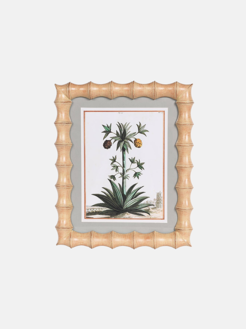 Framed botanical print with a decorative bamboo-style frame on a white background
