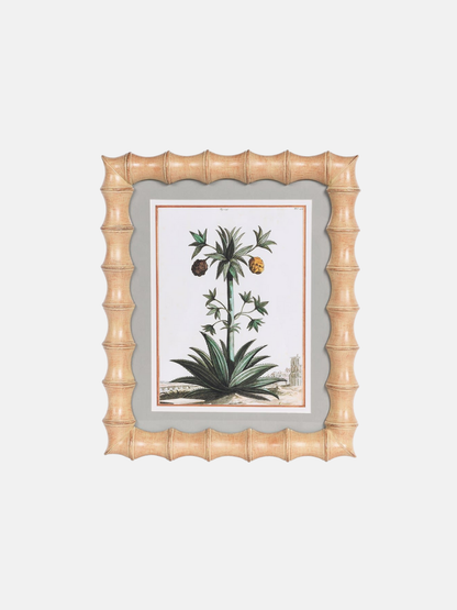 Framed botanical print with a decorative bamboo-style frame on a white background
