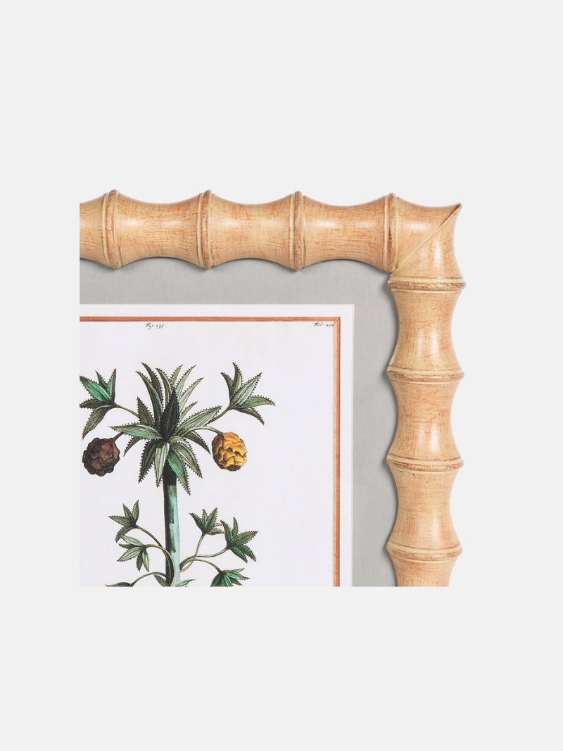 Framed botanical print of a palm tree with a bamboo-style frame on a light gray background