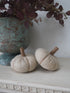 Two beige pumpkins on a white surface with a decorative urn and purple foliage in the background.
