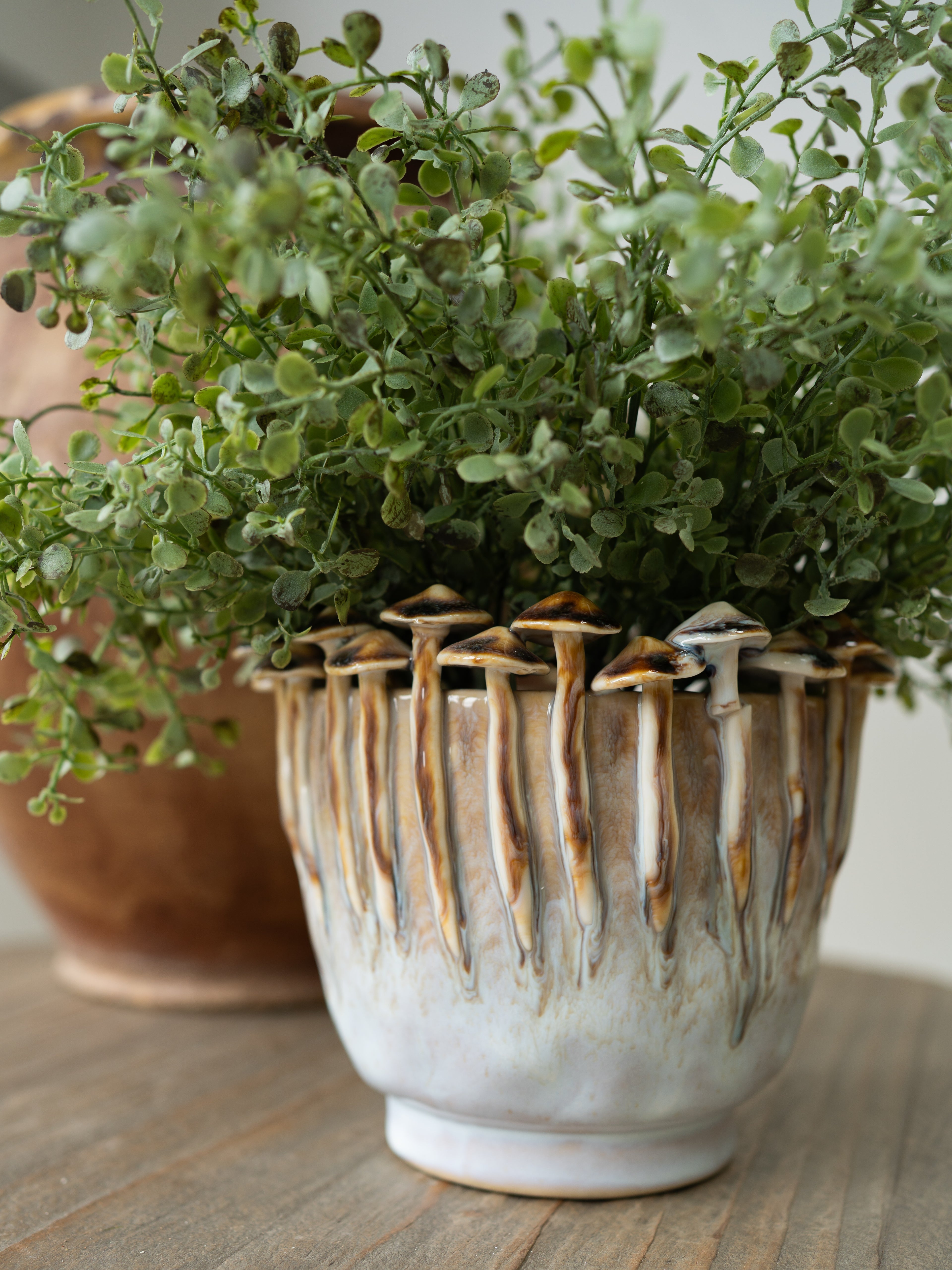 Green potted plant in a textured mushroom 3d effect ceramic pot on a wooden surface