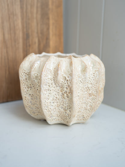 Textured ceramic plant pot on a neutral background
