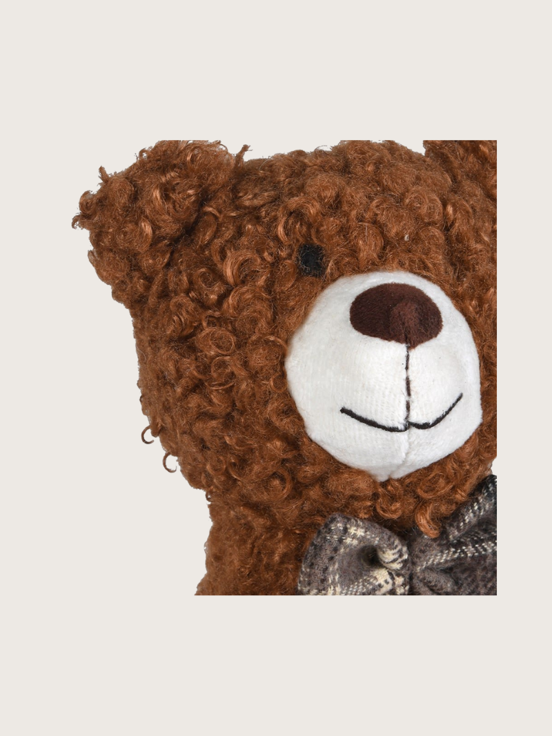 Close-up of a brown teddy bear with a white face and black eyes on a light gray background