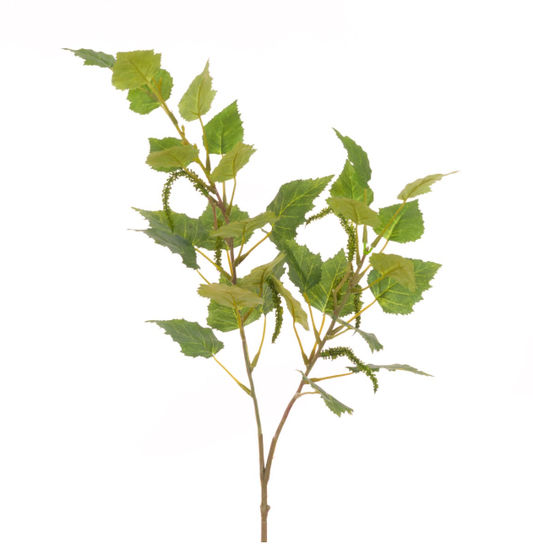 Birch Leaves Spray