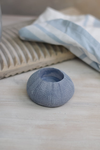 soft blue toned seaside inspired sea urchin candle holder
