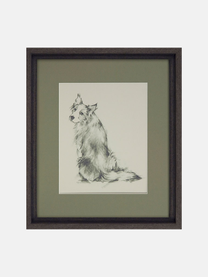 Border Collie Puppy Dog Framed Wall Art
