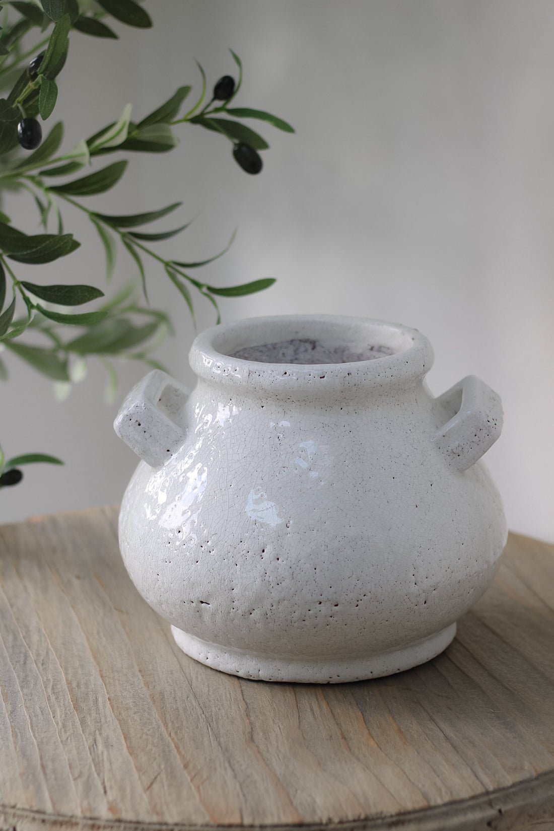Bowness Rustic Crackle Glazed White Pot with Handles