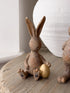 Brown Spring Bunny
