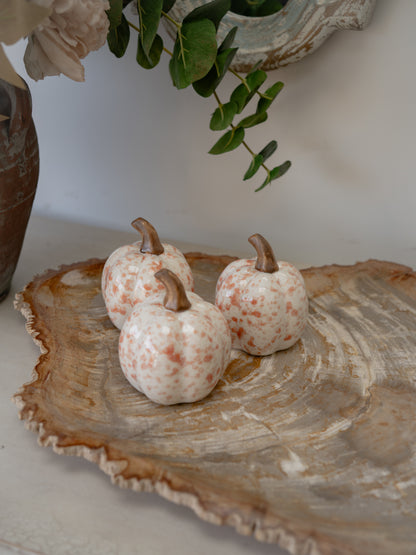 Three small decorative pumpkins with a white base and orange speckles, arranged on a rustic wood slice tray with greenery and a vase in the background.