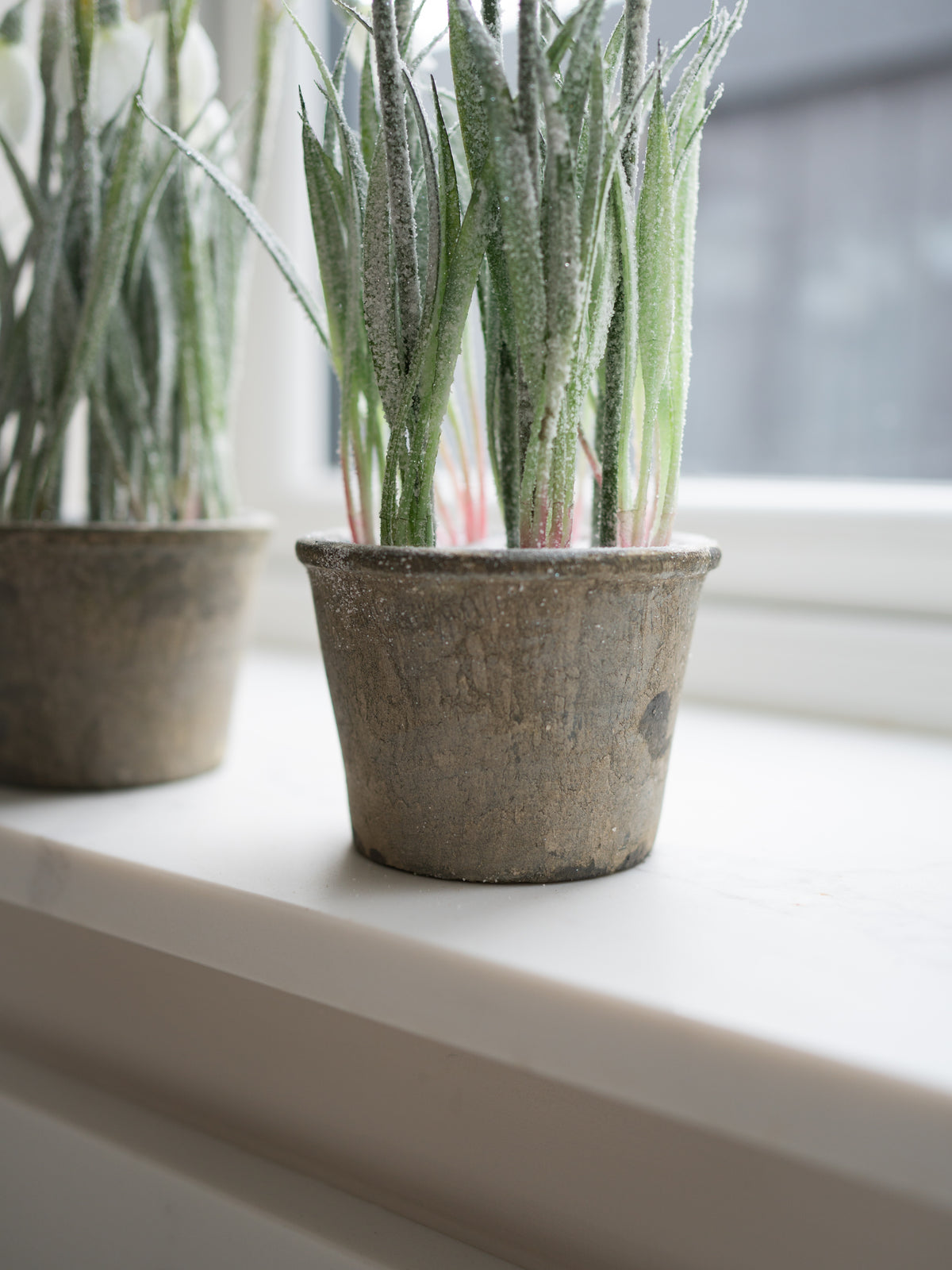 Bundle of Three Faux Snowdrop Plants in Rustic Pots