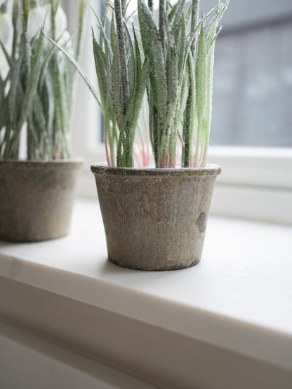 Bundle of Three Faux Snowdrop Plants in Rustic Pots